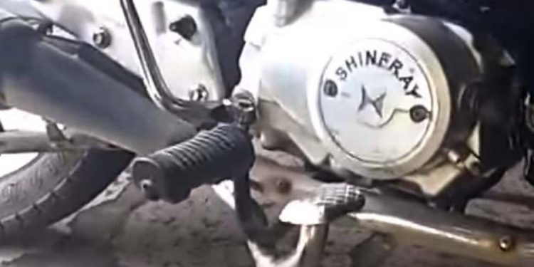 MARAGOGI- Polícia persegue e apreende três menores suspeitos de praticarem assaltos na boca do rio