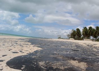 MARAGOGI- A Praia de Antunes foi a mais atingida pelo o óleo do petróleo até o momento.