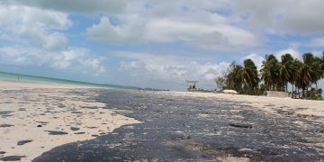 MARAGOGI- A Praia de Antunes foi a mais atingida pelo o óleo do petróleo até o momento.