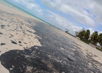 MARAGOGI- A Praia de Antunes foi a mais atingida pelo o óleo do petróleo até o momento.