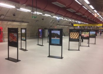 MARAGOGI- Exposição sobre Maragogi no metrô de São Paulo faz sucesso.