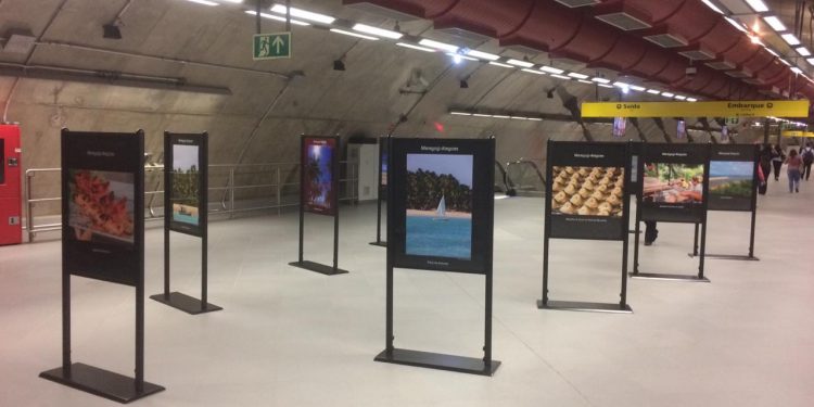 MARAGOGI- Exposição sobre Maragogi no metrô de São Paulo faz sucesso.