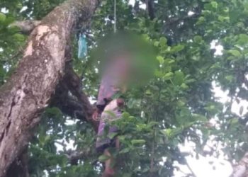 MARAGOGI- Homem de trinta anos é encontrado enforcado em Zona Rural.