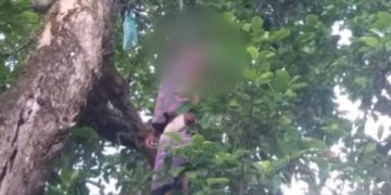 MARAGOGI- Homem de trinta anos é encontrado enforcado em Zona Rural.