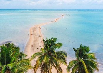 Empresários criam projeto para enaltecer belezas naturais de Maragogi