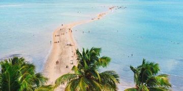 Empresários criam projeto para enaltecer belezas naturais de Maragogi