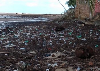 MARAGOGI — Prefeitura não conclui limpeza iniciada na praia de São Bento.
