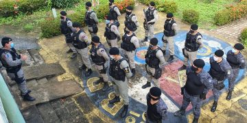 Operação Nacional de Combate ao tráfico de drogas mira na Região Norte de Alagoas.