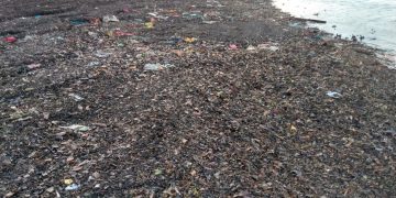 MARAGOGI — Após chuvas, praia de São Bento é tomada por lixo.