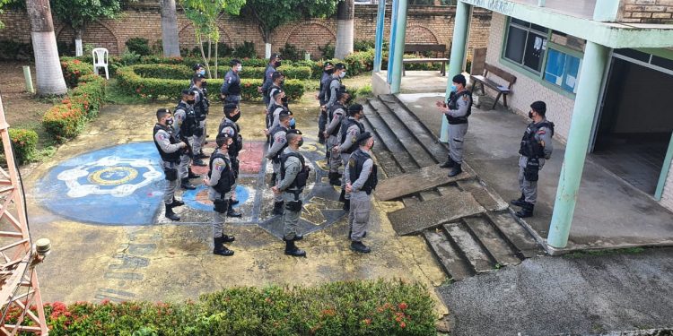 Operação Nacional de Combate ao tráfico de drogas mira na Região Norte de Alagoas.