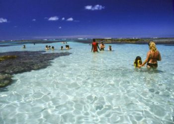 Com protocolo sanitário, passeios às piscinas naturais de Maragogi são retomados