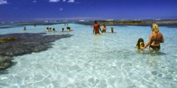 Com protocolo sanitário, passeios às piscinas naturais de Maragogi são retomados