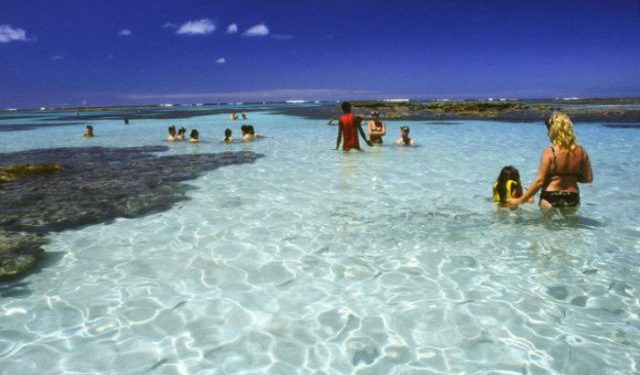 Com protocolo sanitário, passeios às piscinas naturais de Maragogi são retomados