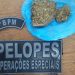 Em São Bento, jovem tenta fugir ao avistar viatura da PM e é preso com maconha.