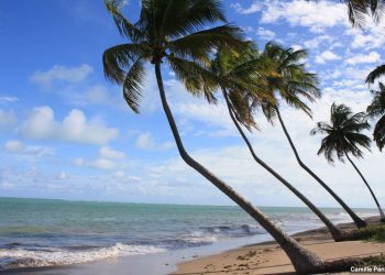 Praia do Patacho busca certificação Bandeira Azul