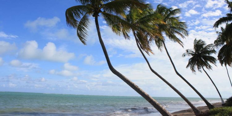Praia do Patacho busca certificação Bandeira Azul
