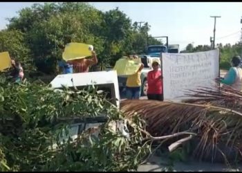 Manifestantes bloqueiam rodovia AL 101 Norte na cidade de Maragogi