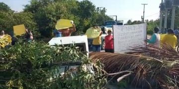 Manifestantes bloqueiam rodovia AL 101 Norte na cidade de Maragogi