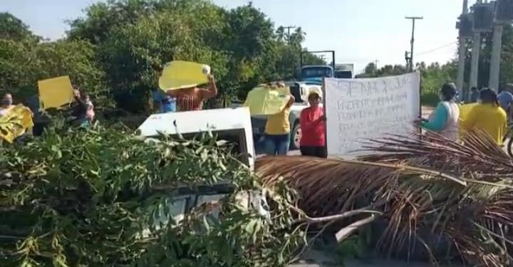 Manifestantes bloqueiam rodovia AL 101 Norte na cidade de Maragogi