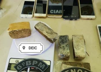 OPERAÇÃO GOEL: Homens são presos em Japaratinga por falsidade ideológica e tráfico de drogas