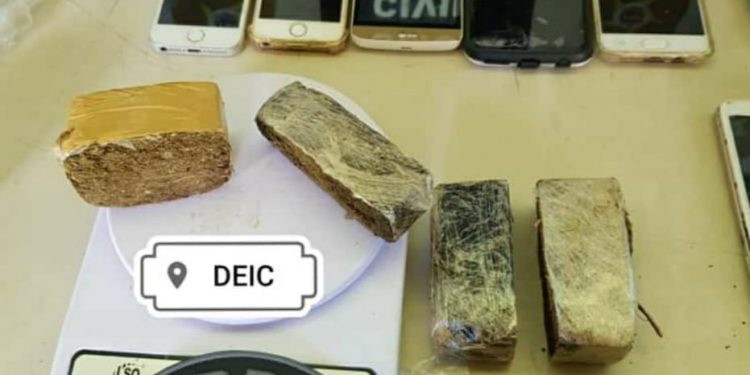 OPERAÇÃO GOEL: Homens são presos em Japaratinga por falsidade ideológica e tráfico de drogas