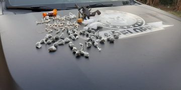 Trio é preso com arma e drogas em Japaratinga