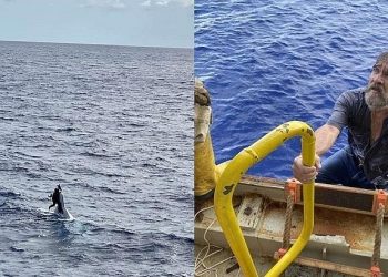 MILAGRE: marinheiro desaparecido é achado vivo agarrado a barco a 138 km da costa