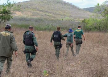 Operações resgatam mais de 800 animais silvestres e prende três pessoas em AL