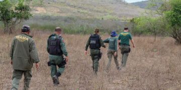 Operações resgatam mais de 800 animais silvestres e prende três pessoas em AL