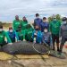 Peixe-boi encalhado é resgatado por biólogos, em Coruripe