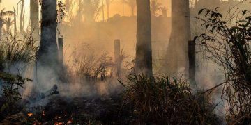 VÍDEO- Vizinhos de um loteamento de Peroba denunciaram queimada em um terreno do povoado
