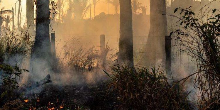 VÍDEO- Vizinhos de um loteamento de Peroba denunciaram queimada em um terreno do povoado