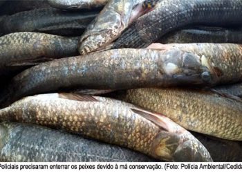 Apagão em Maragogi gera revolta e prejuízos a comerciantes e empresários