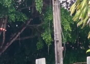VÍDEO- Mais um poste com fios quebrados em Maragogi; oito ligações e Equatorial não resolve