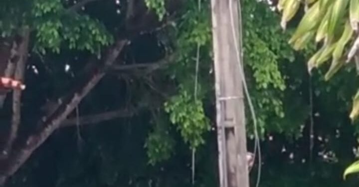 VÍDEO- Mais um poste com fios quebrados em Maragogi; oito ligações e Equatorial não resolve