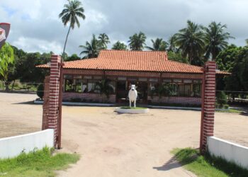 Restaurante e Churrascaria Nelorão Grill volta com rodízio a partir deste sábado.