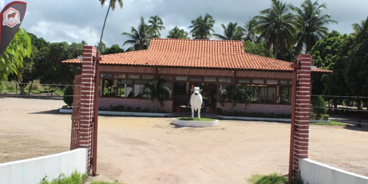 Restaurante e Churrascaria Nelorão Grill volta com rodízio a partir deste sábado.