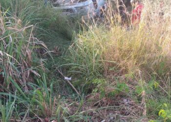 VÍDEO- Motorista perde controle e capota veículo na famosa curva do pontal em Maragogi