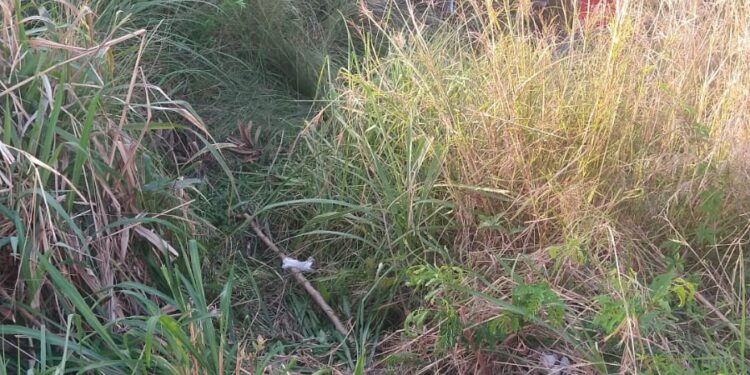 VÍDEO- Motorista perde controle e capota veículo na famosa curva do pontal em Maragogi