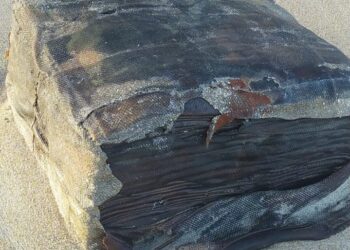 VÍDEO- Novo fardo de emborrachado é encontrado na praia de Xaréu em Maragogi