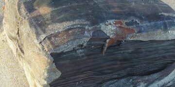 VÍDEO- Novo fardo de emborrachado é encontrado na praia de Xaréu em Maragogi