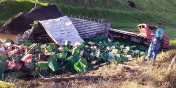 Motorista se fere após perder controle de caminhão