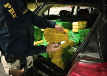 Quase 170 quilos de maconha são apreendidos em Sergipe; a droga era levada para Alagoas