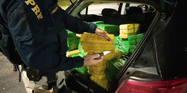 Quase 170 quilos de maconha são apreendidos em Sergipe; a droga era levada para Alagoas