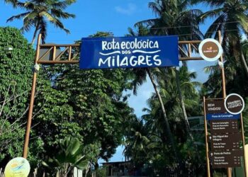 Traficante usava submetralhadora para circular dentro de rota ecológica e comercializar drogas, em São Miguel dos Milagres
