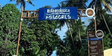 Traficante usava submetralhadora para circular dentro de rota ecológica e comercializar drogas, em São Miguel dos Milagres