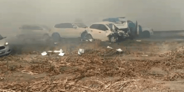 Usina diz que não provocou fumaça que resultou em engavetamento: “pode ter sido alguém que passou pela rodovia”