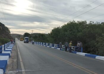 Saneape amplia limpeza às margens da rodovia AL 101 Norte em Maragogi