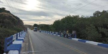 Saneape amplia limpeza às margens da rodovia AL 101 Norte  em Maragogi