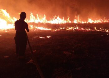 Corpo de Bombeiros registra mais de 1.300 incêndios em Alagoas entre 2020 e 2021